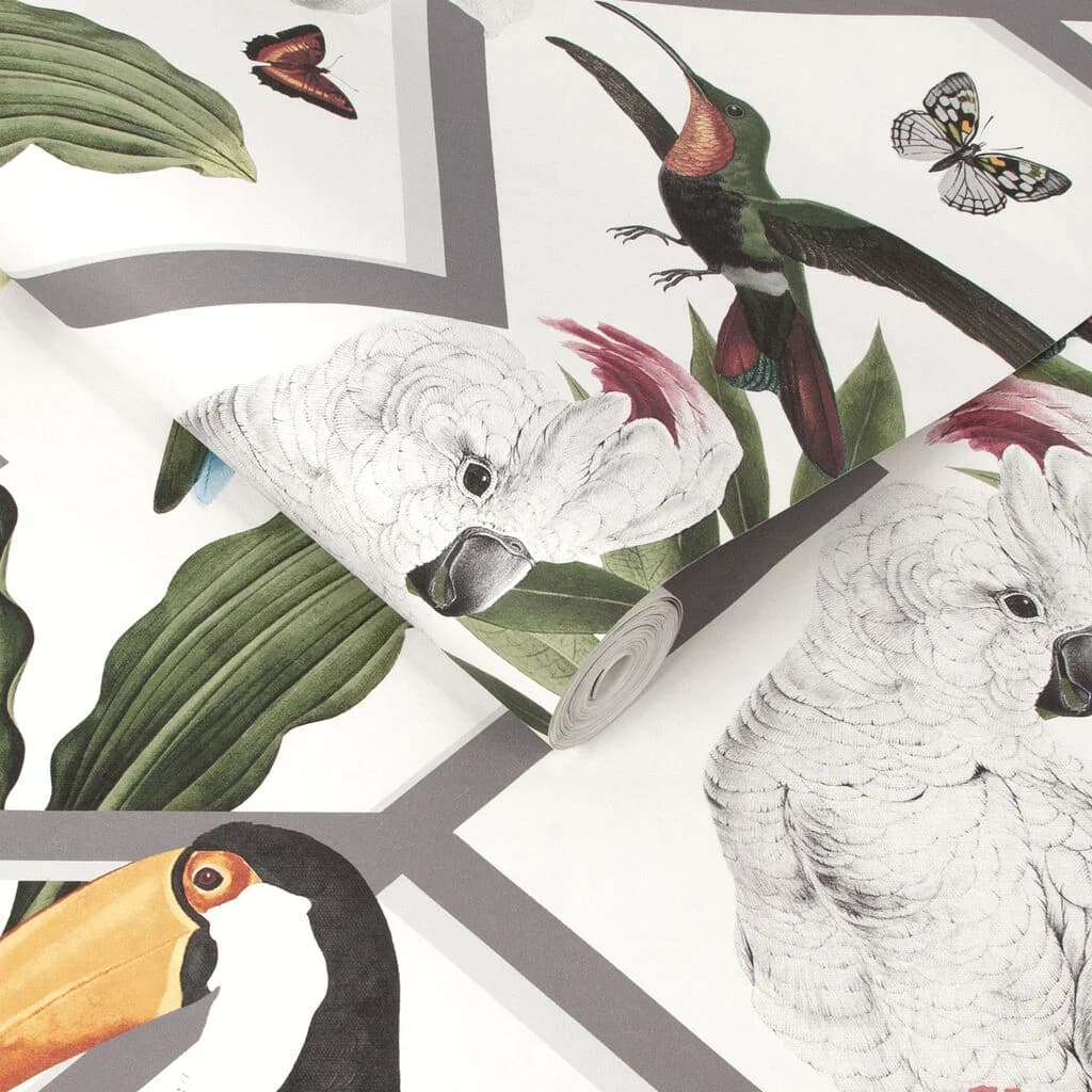 Papel de Colgadura Pájaros, Combinado con Geometría Fondo Blanco Rollo de 5,2m²